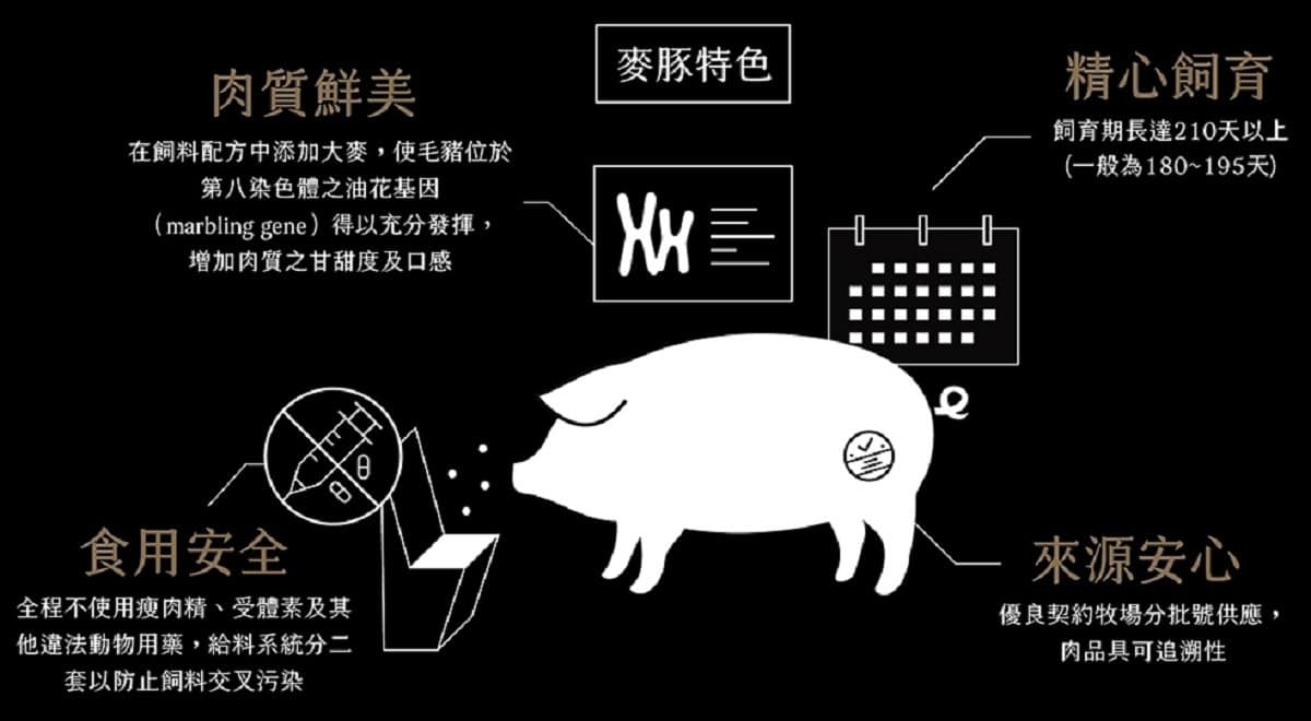 信功肉品｜日式燒肉包｜豬肉界台積電，外銷日本等級的麥豚美味開箱