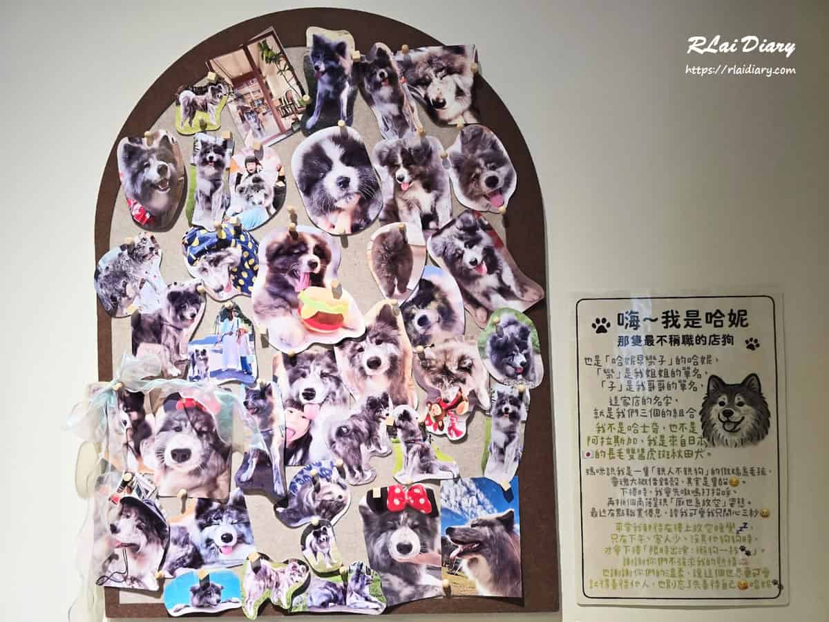 照片牆與店內裝飾細節