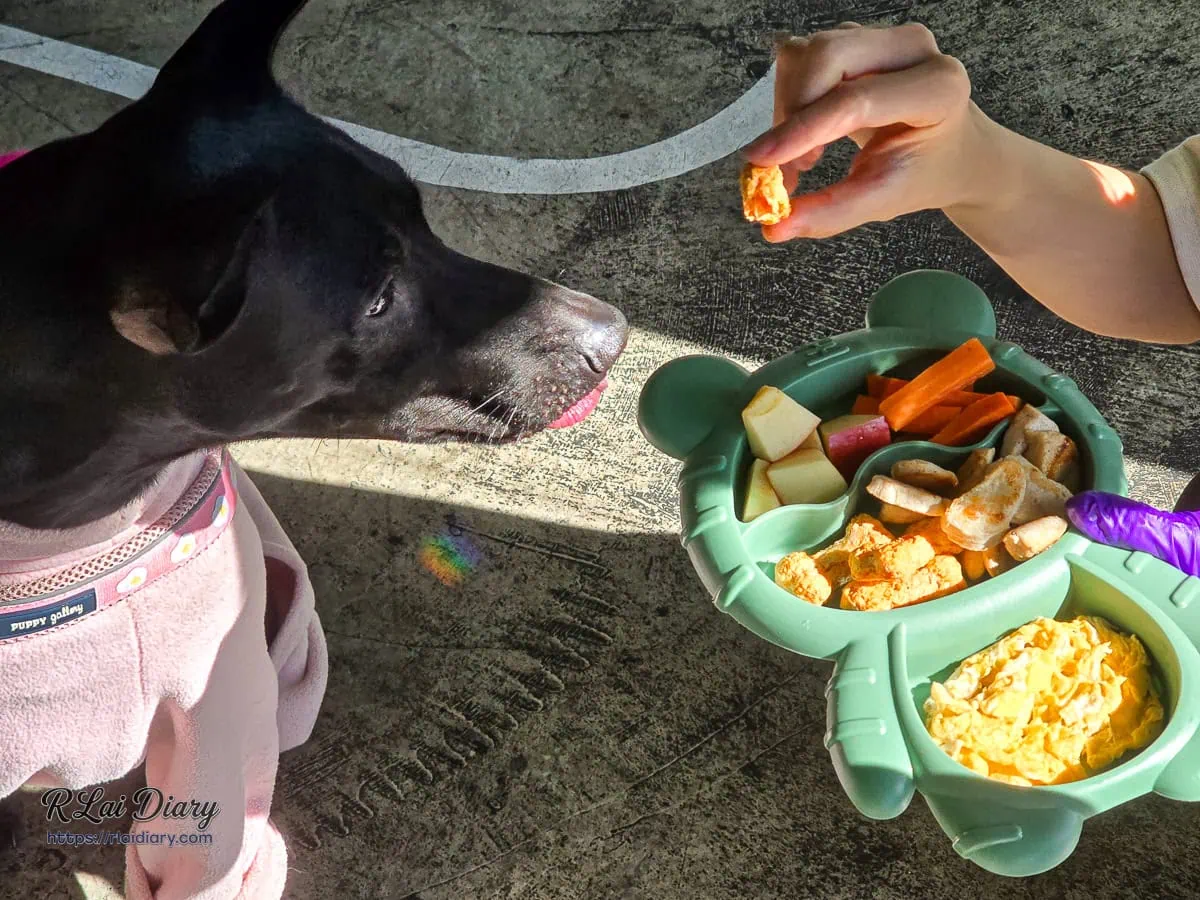 生活域所寵物友善服務，毛孩享用專屬鮮食餐點