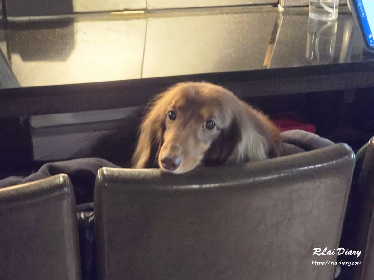 大安區｜一頭也黑毛和牛炭火燒肉｜半包廂隱私空間，享受不用動手的頂級燒肉