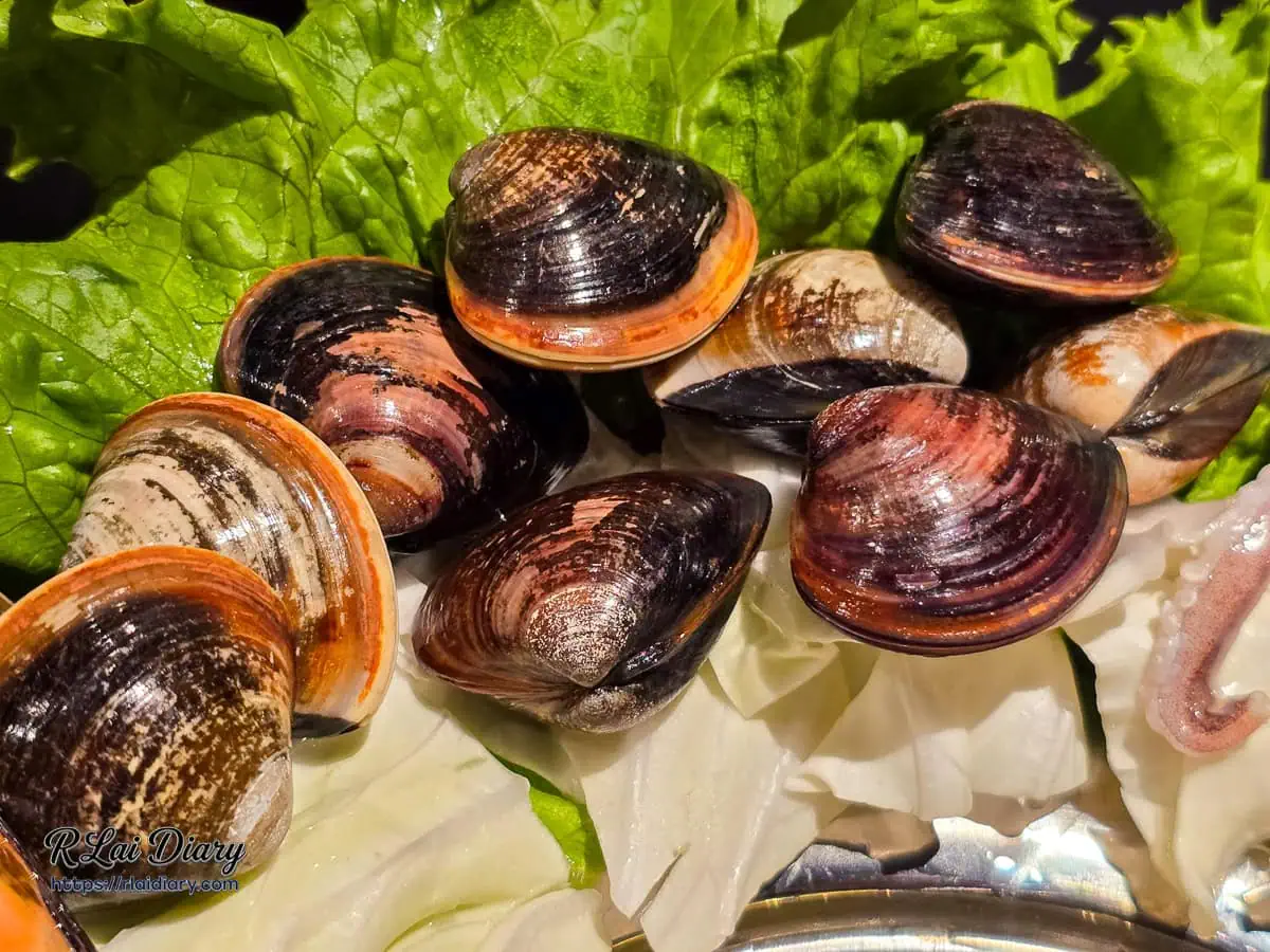 海陸推推鍋蛤蠣特寫，大顆飽滿的蛤蠣吐沙乾淨，是湯頭鮮美的來源