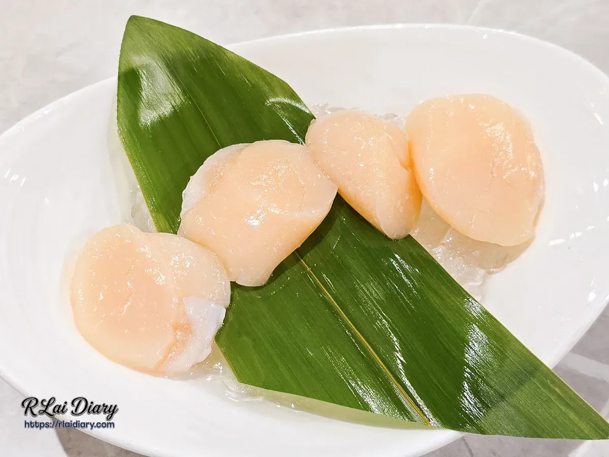 新肉多多台北忠孝店會員集點兌換大干貝，純白瓷盤盛裝著四顆晶瑩飽滿、透著珍珠光澤的生食級干貝