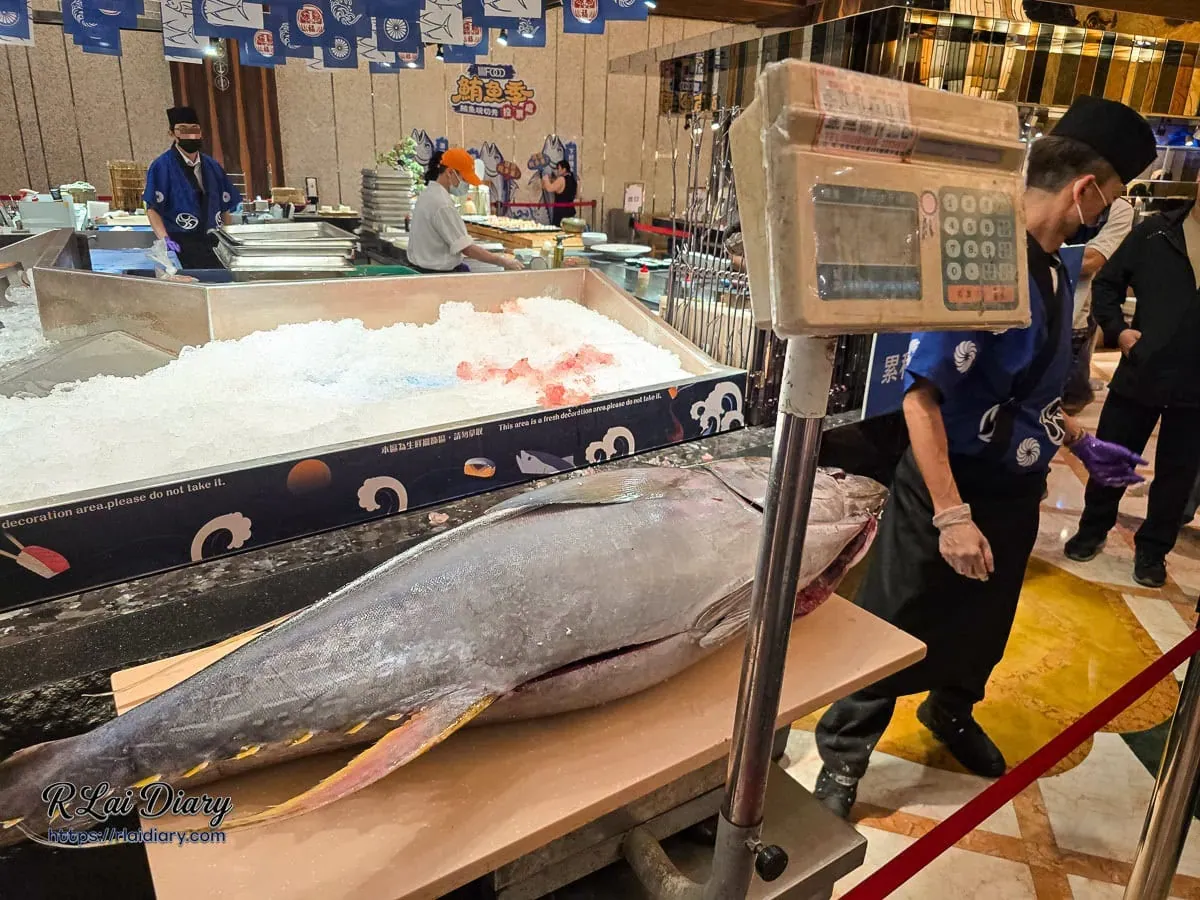 豐FOOD鮪魚季週五限定整尾鮪魚秤重現切秀