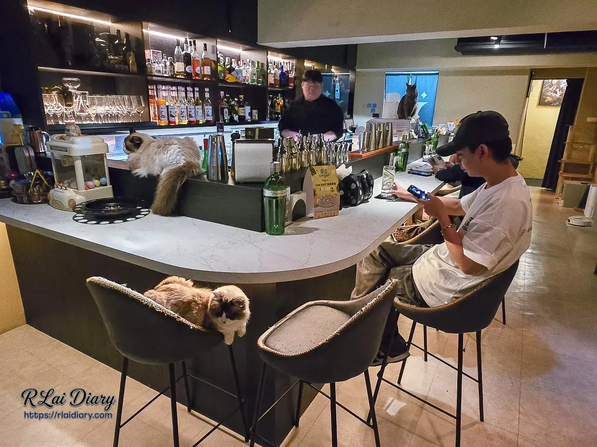 大安區寵物友善餐酒館室內環境，暖黃燈光營造微醺氛圍，布偶貓佔領高腳椅
