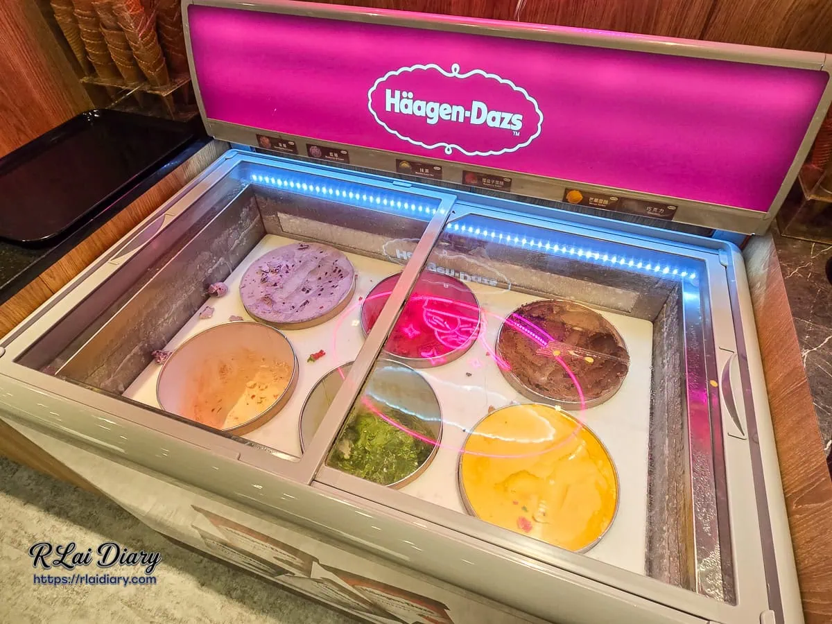 新千葉火鍋西門店頂級哈根達斯Häagen-Dazs冰淇淋各式熱門口味冰櫃